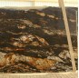 Magma black granite
